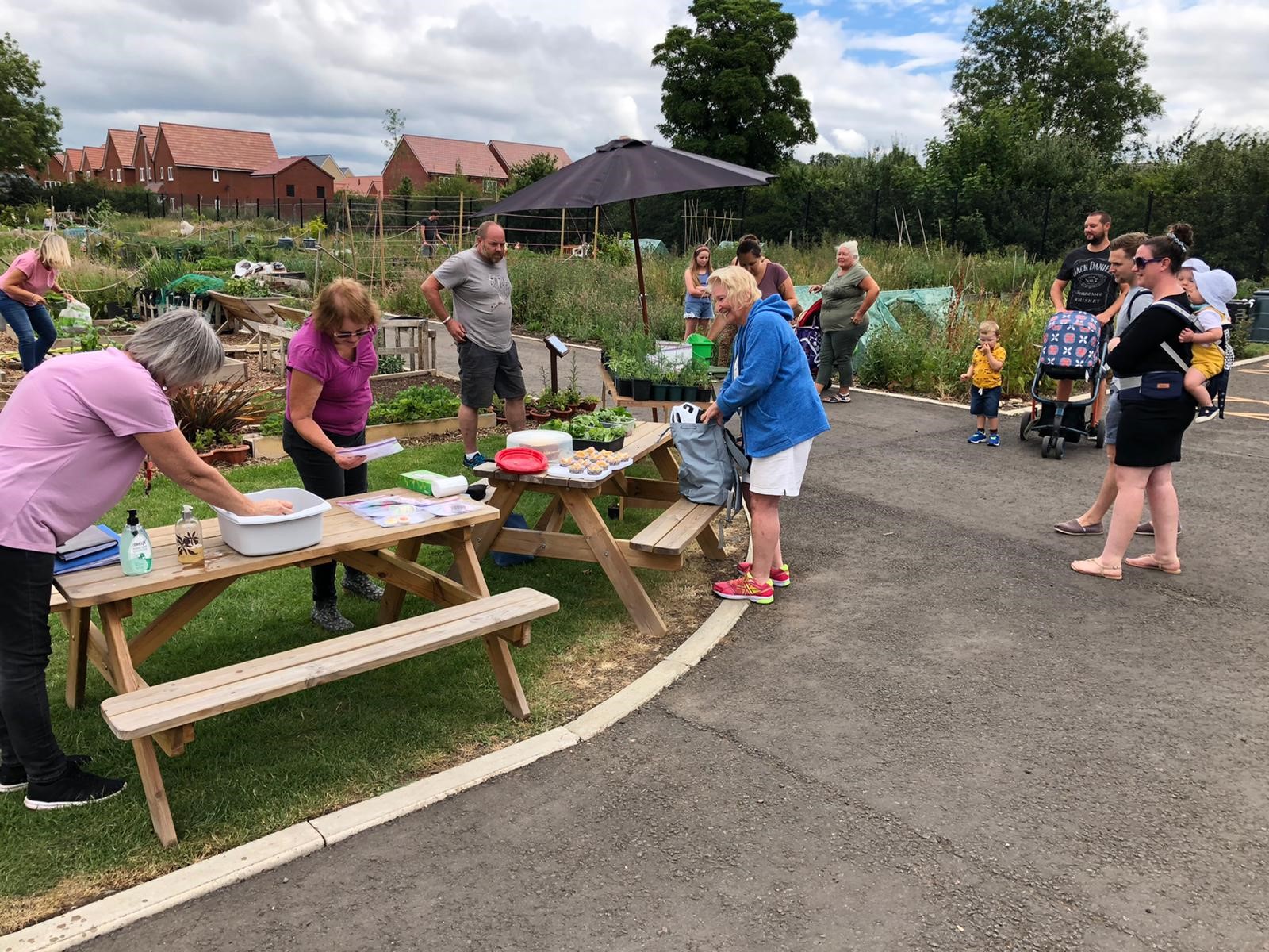 Allotments Tadpole Garden Village